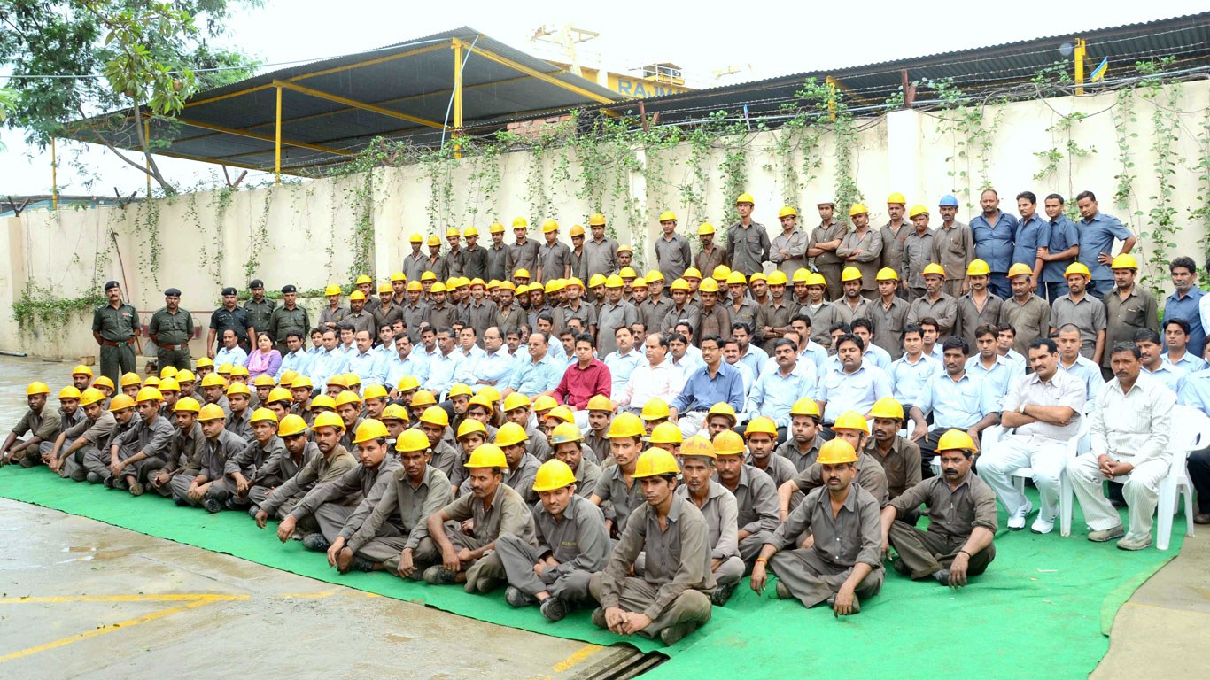 Heavy-Duty Crusher Assembly
